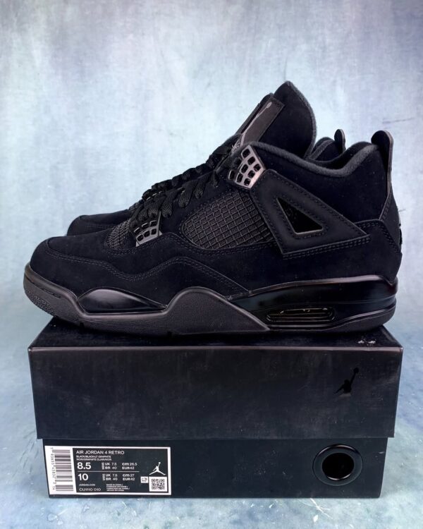 Air Jordan 4 Black Cat