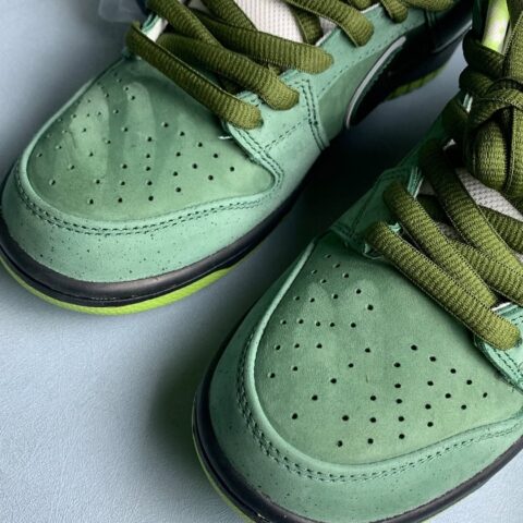SB Dunk Lobster Green (1)