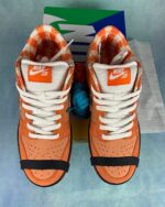 SB Dunk Lobster Orange