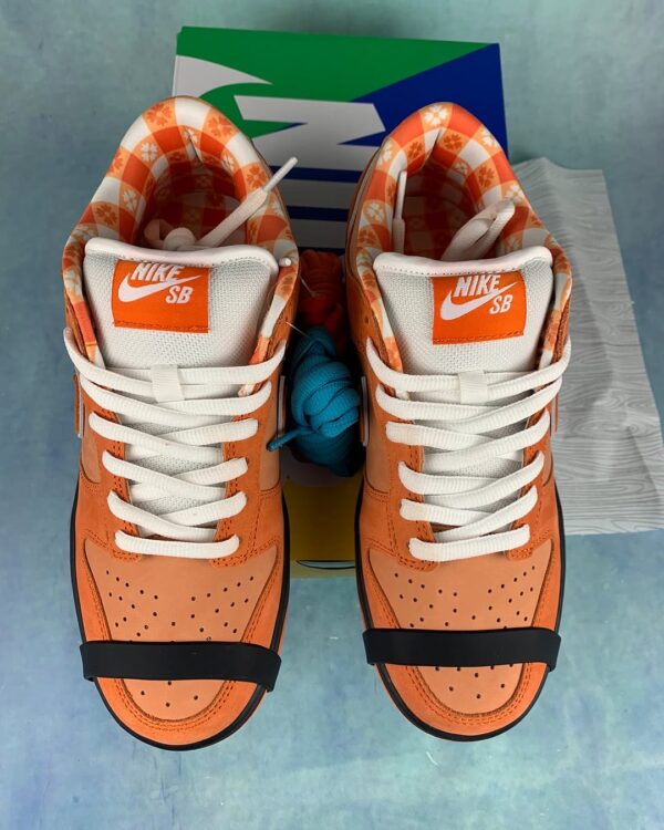 SB Dunk Lobster Orange
