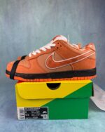 SB Dunk Lobster Orange