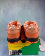 SB Dunk Lobster Orange