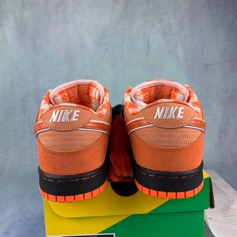 SB Dunk Lobster Orange (2)
