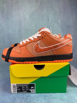 SB Dunk Lobster Orange