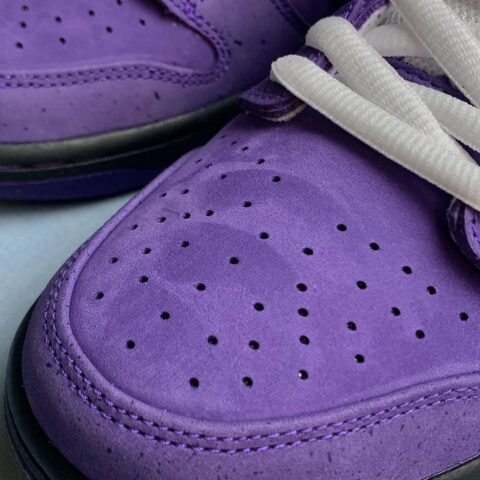 SB Dunk Lobster Purple (1)