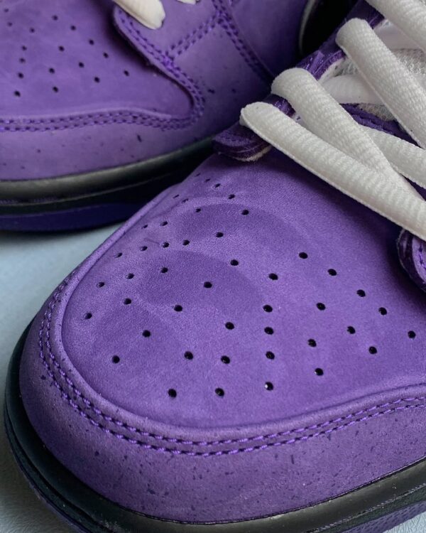 SB Dunk Lobster Purple