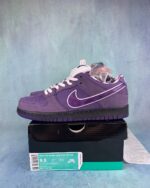 SB Dunk Lobster Purple