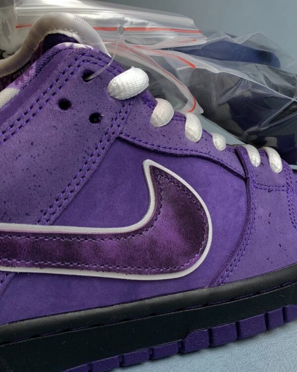 SB Dunk Lobster Purple