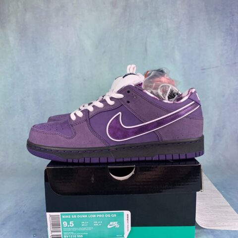 SB Dunk Lobster Purple