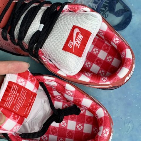 SB Dunk Lobster Red (1)