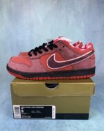 SB Dunk Lobster Red