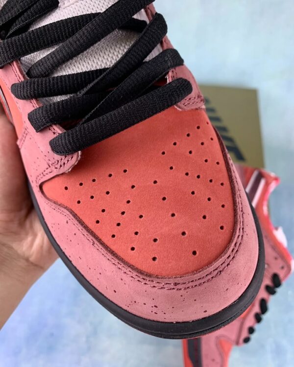 SB Dunk Lobster Red