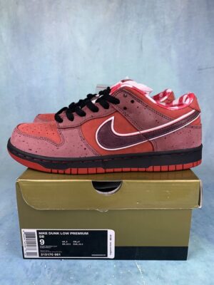 SB Dunk Lobster Red