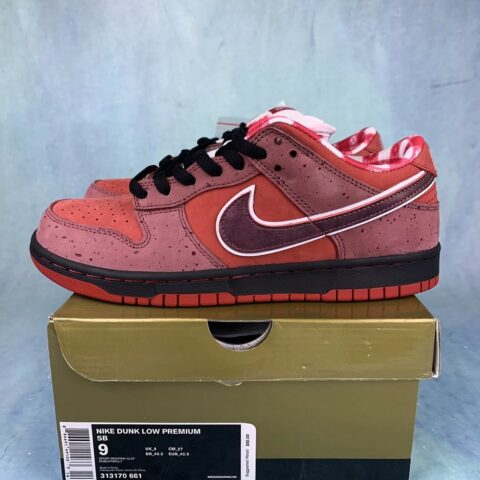 SB Dunk Lobster Red