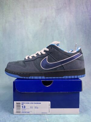 SB Dunk lobster Blue